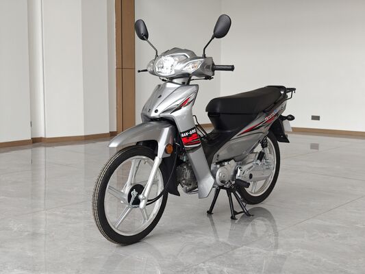 YH110T-2 CUB 110cc Dual-Clutch Honda Suzuki Yamaha Bajaj TVS